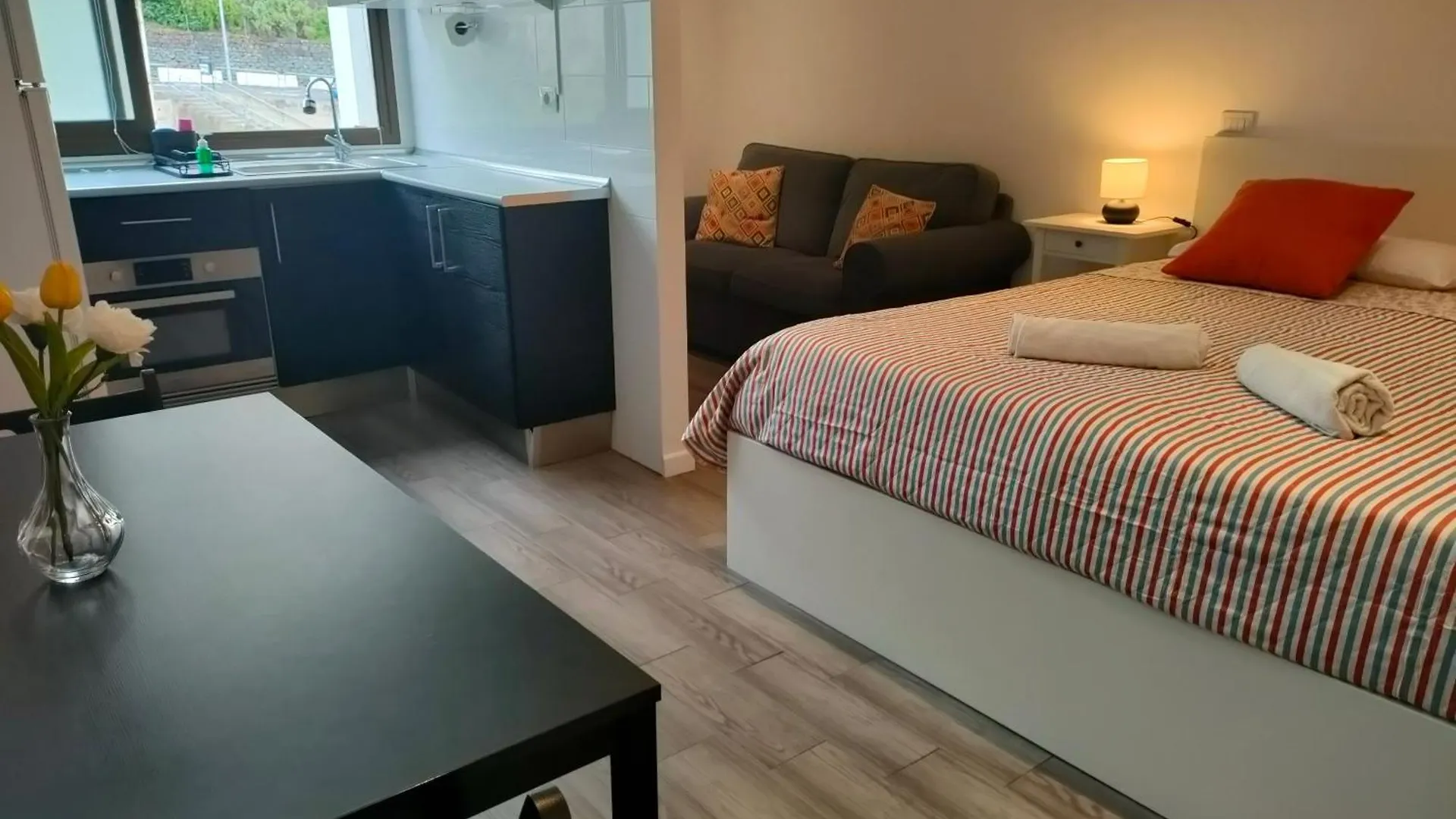 Sea Loft With A Huge Bed Apartment Icod De Los Vinos